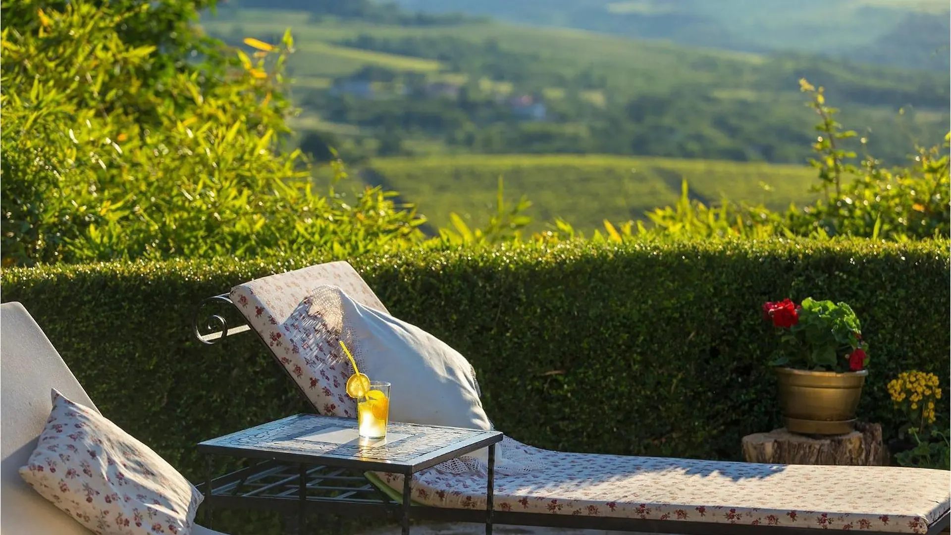 Casa de Férias Villa Dolce Vita Motovun