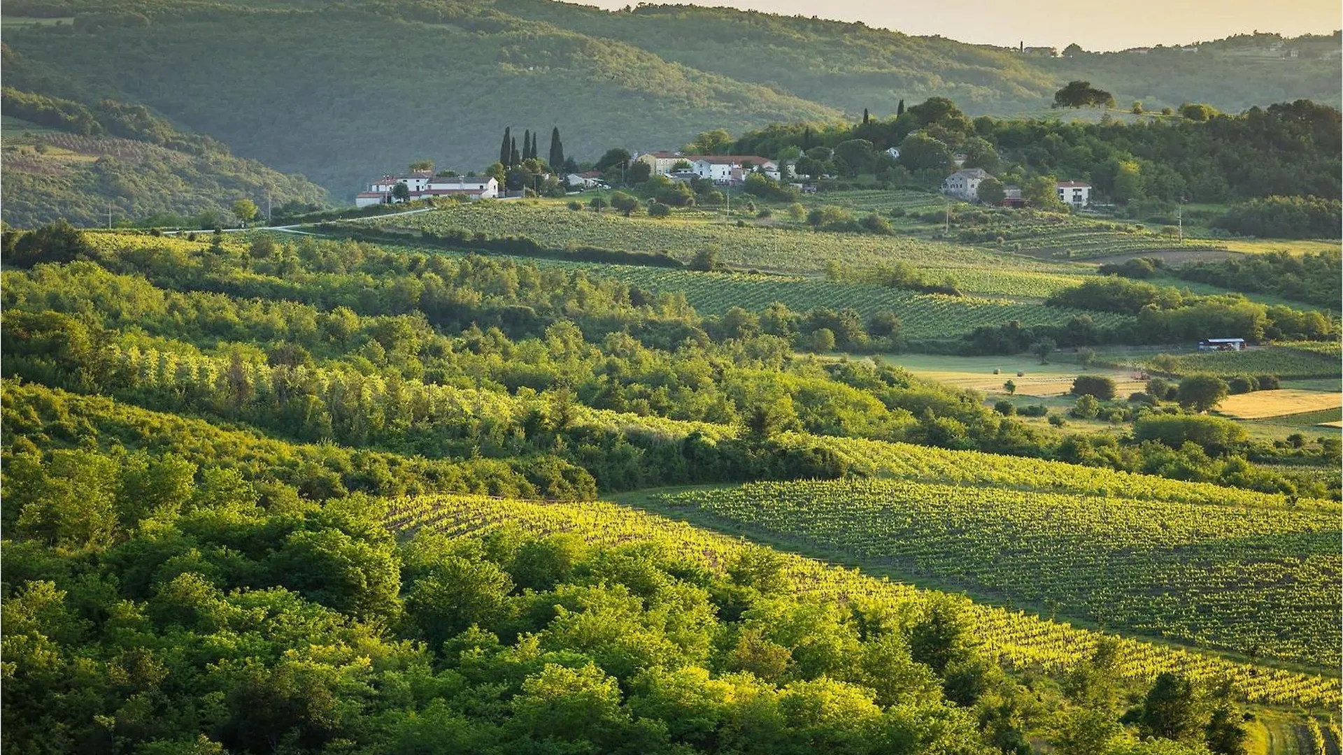Villa Dolce Vita Motovun 0*,  Croácia